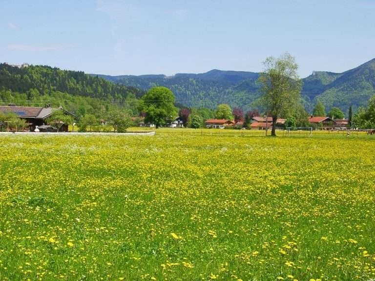 fahrradfahren-in-schoenster-umgebung